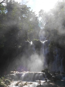 P1010849